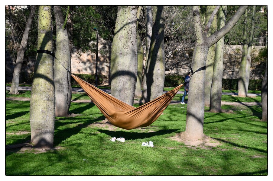 4 Valencia, Jardín del Turia.jpg