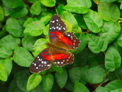DSCN3601.jpg