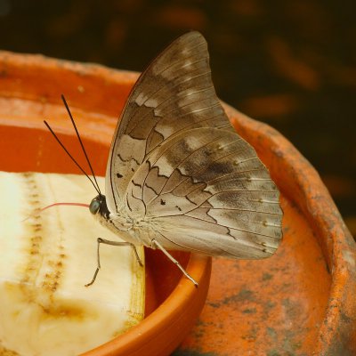 DSCN3623.jpg