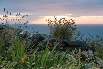 20130623-D800E-207.jpg
