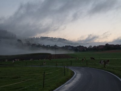20131016-P7100-001.jpg