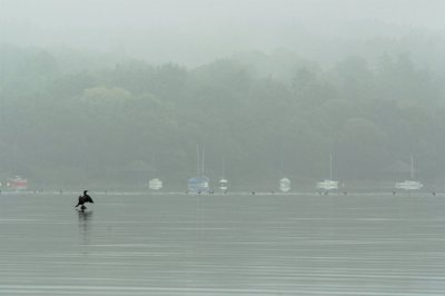 DSCF3369_DxO.jpg