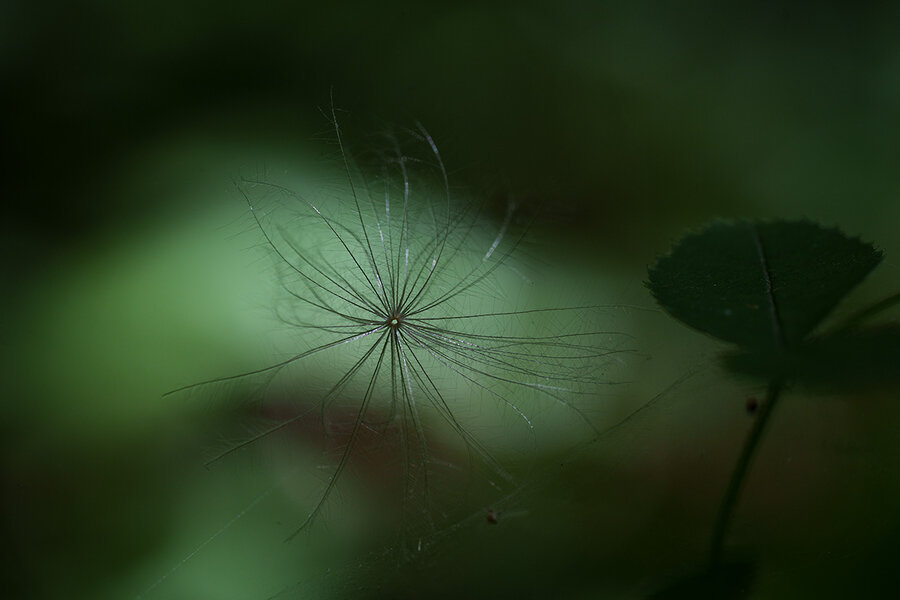 ci_A7409662.jpg