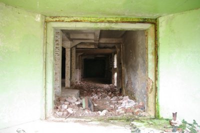 test25prozent.jpg
