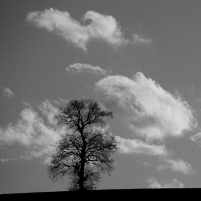 ci_K5IM4351_7.jpg